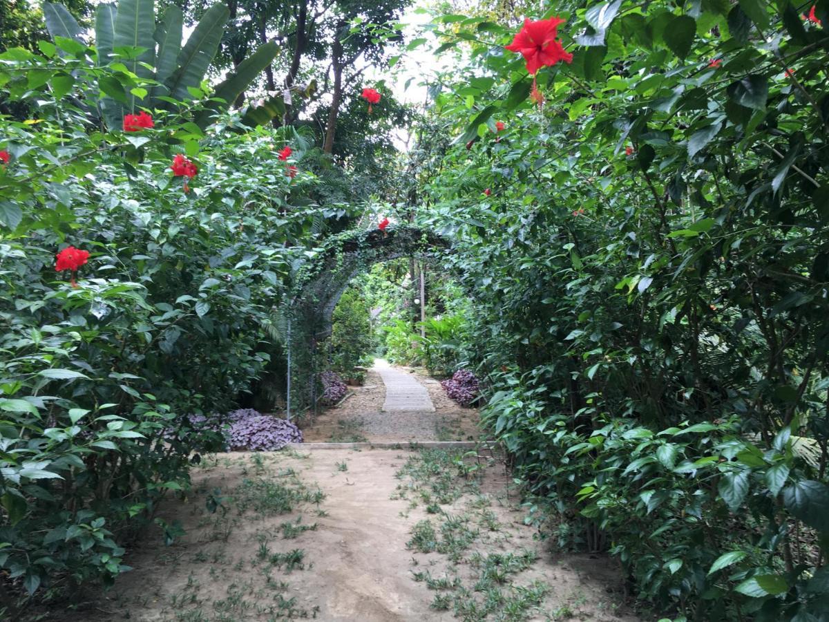 Starlight Beach Resort Koh Phayam Bagian luar foto