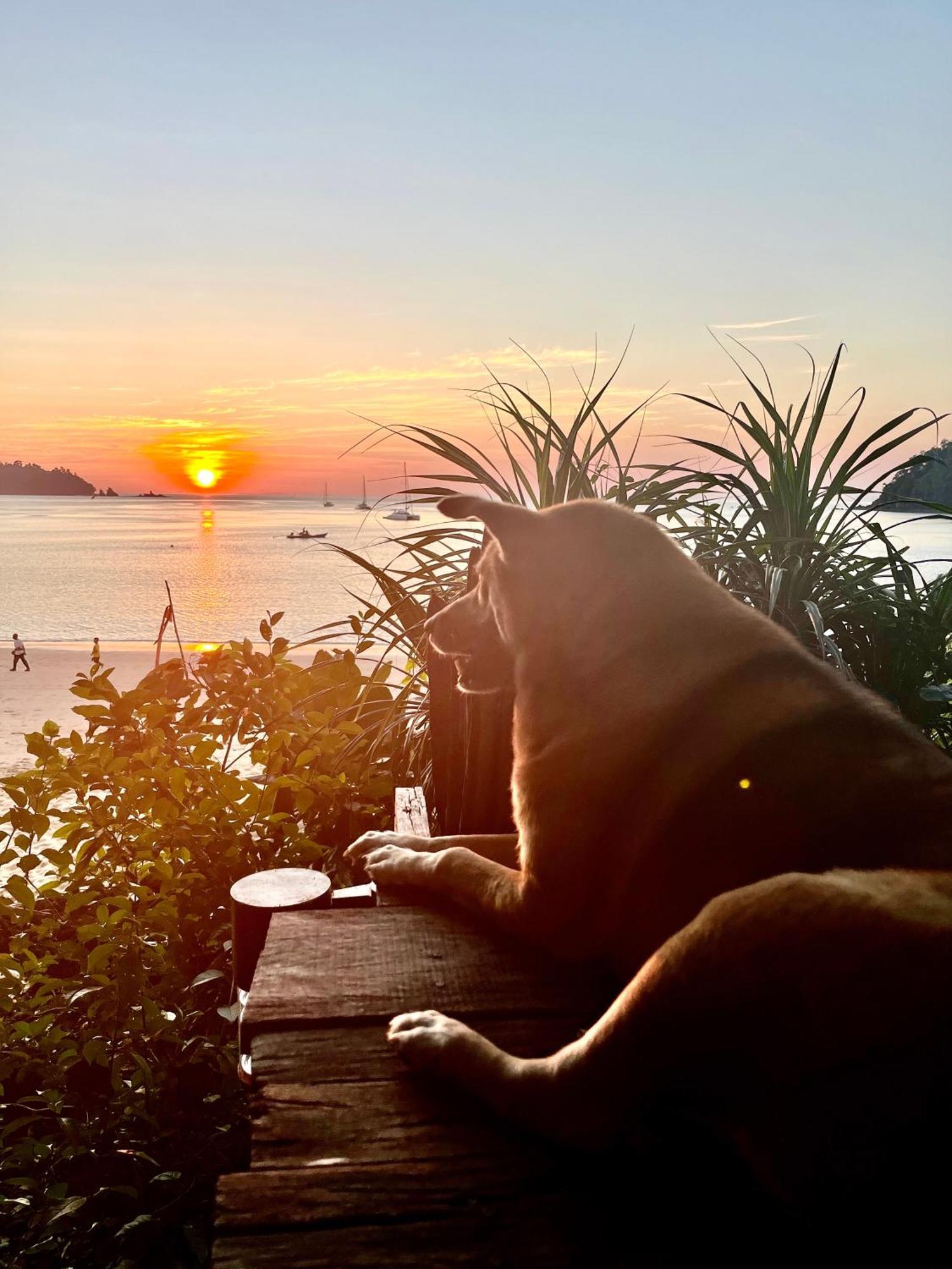 Starlight Beach Resort Koh Phayam Bagian luar foto