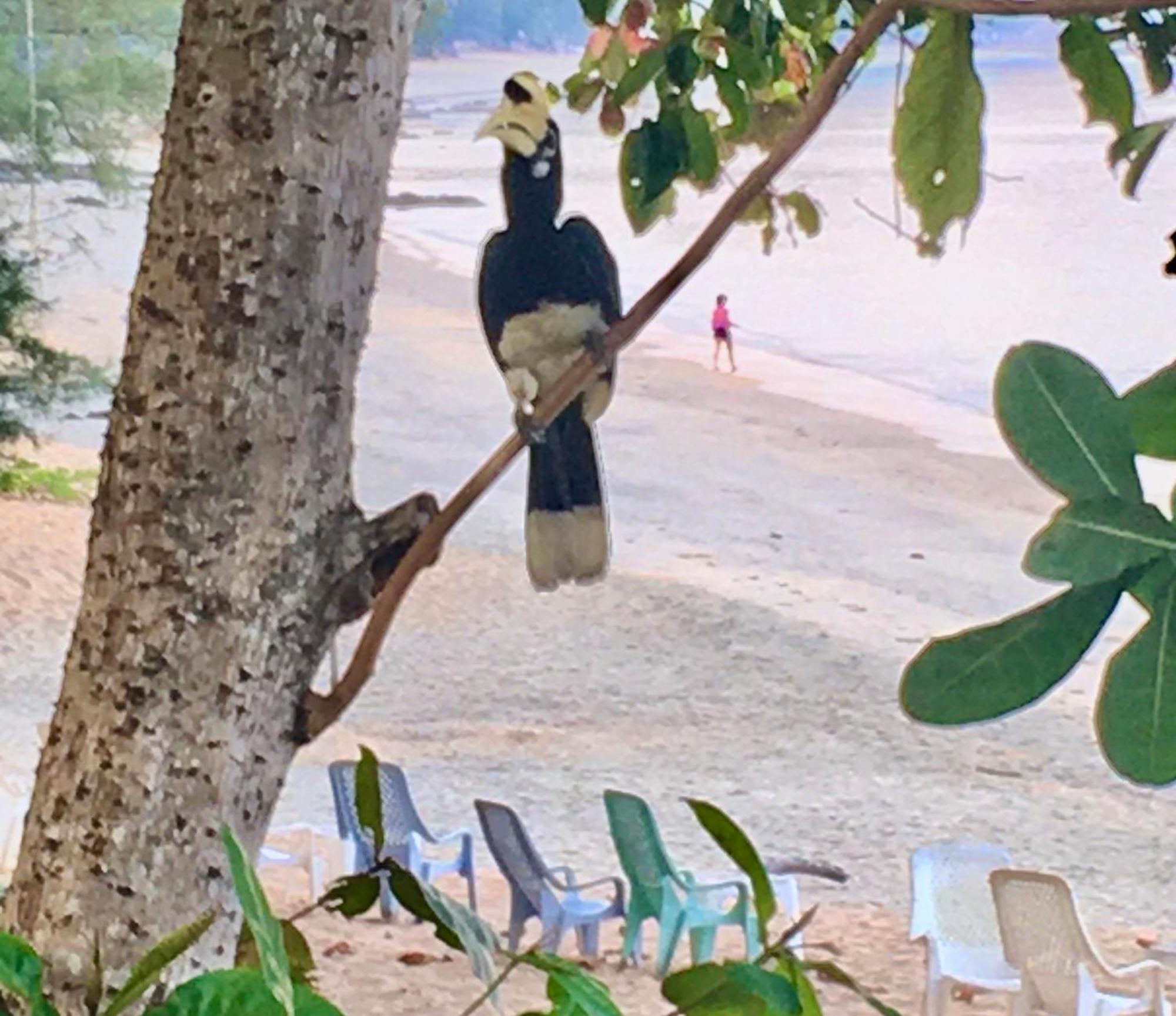 Starlight Beach Resort Koh Phayam Bagian luar foto